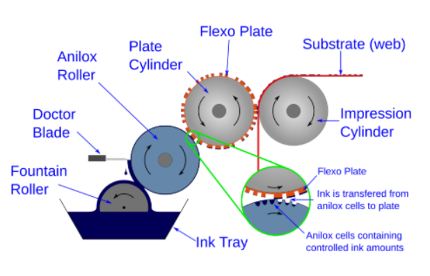 Flexography Printing